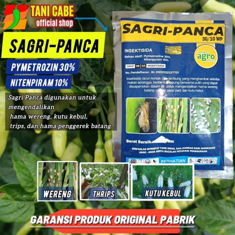 INSEKTISIDA SAGRI PANCA (PIMETROZIN & NITENPIRAM)HAMA WERENG