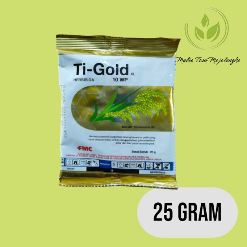 Ti-gold 10WP 25 gr