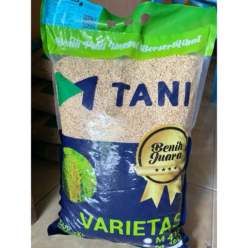 Benih Padi Genjah M Tani varietas M70 D / 5 kg MTani M70D