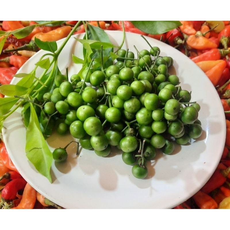 

Leunca 250 Gram