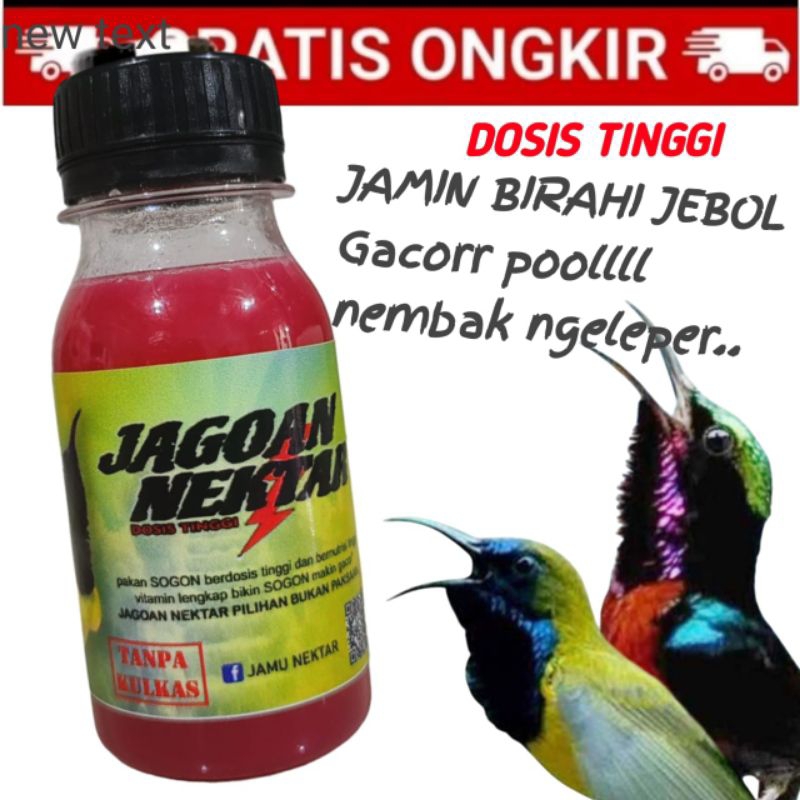 JAGOAN NEKTAR pakan sogon/konin