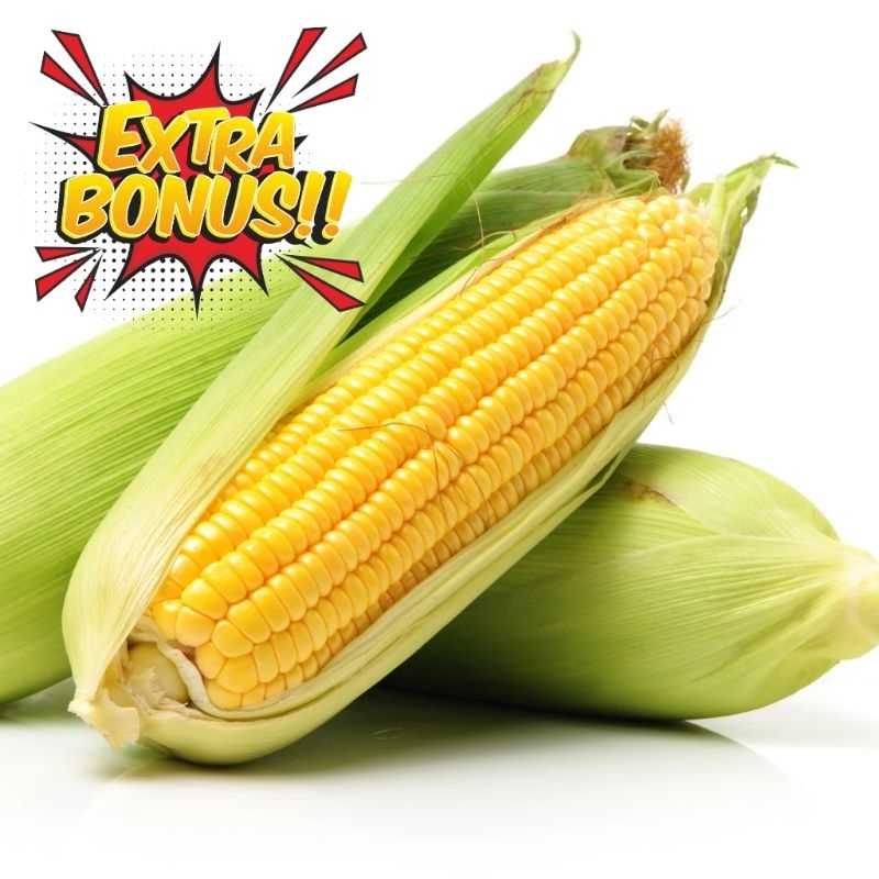 

Jagung Manis Sayur Segar Serba 10k