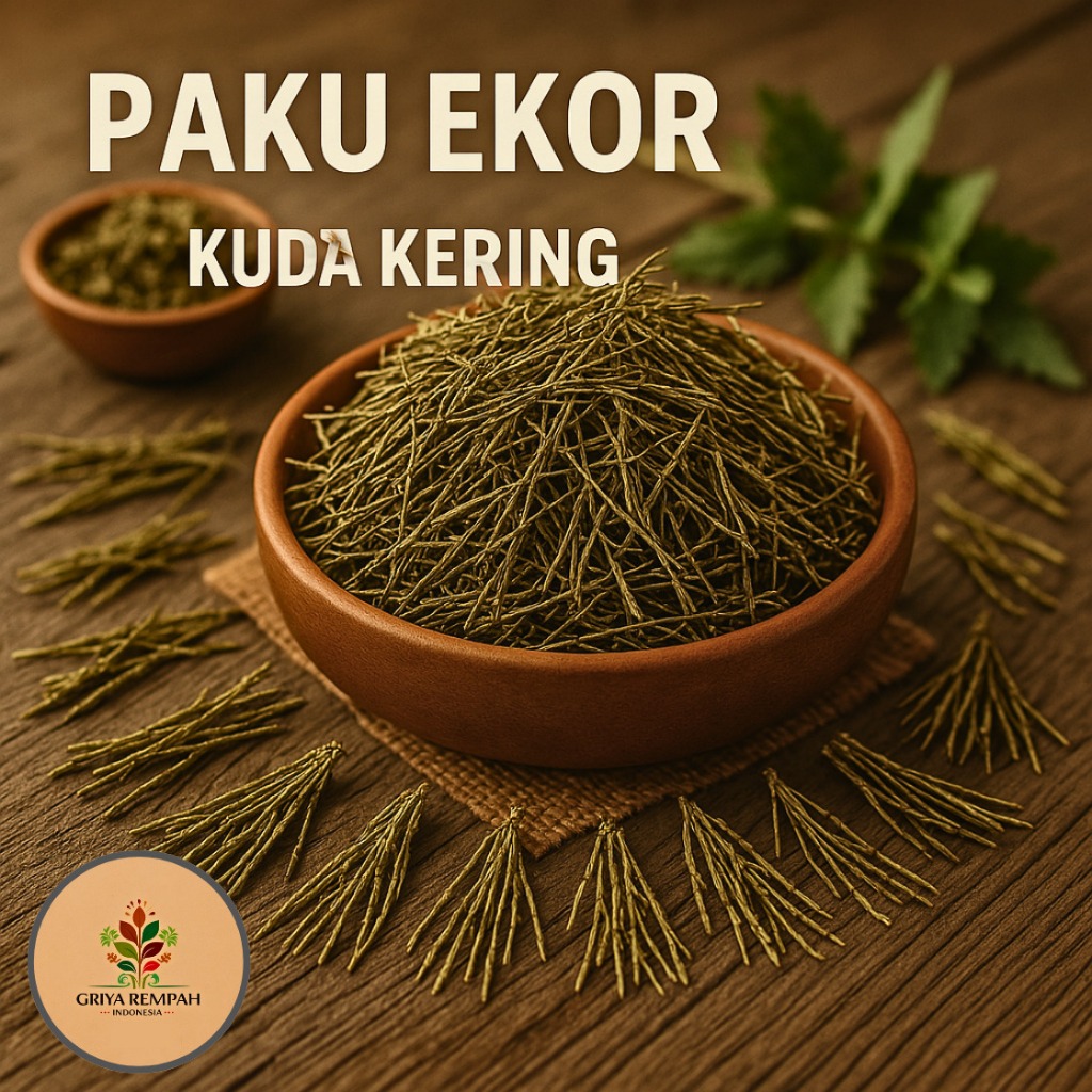 

PAKU KUDA KERING 50 GRAM Pecut Ekor Kuda Rempah Herbal Simplisia Alami Tradisional Obat Luka Dalam Radang Sendi Pereda Nyeri Antioksidan Lycopodium clavatum