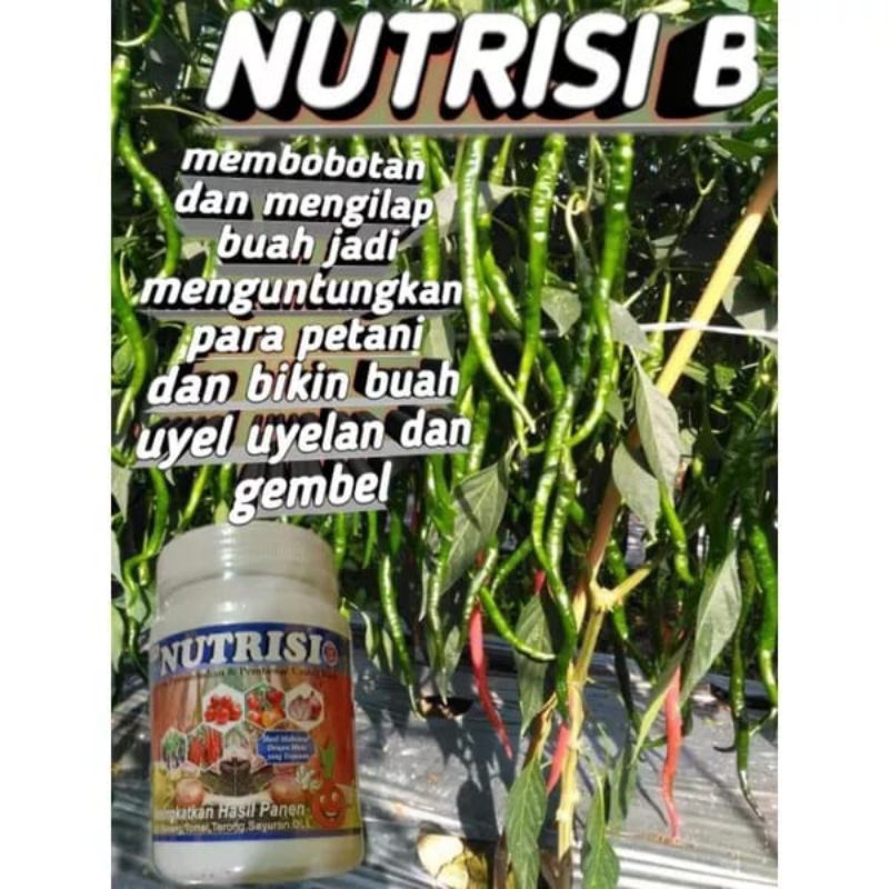 NUTRISI B | SAHABAT TANI. TV