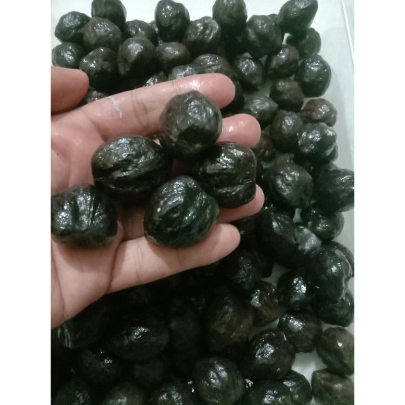 Muncang adu/kemiri adu/Muncang Garut/Muncang adu jenis campuran