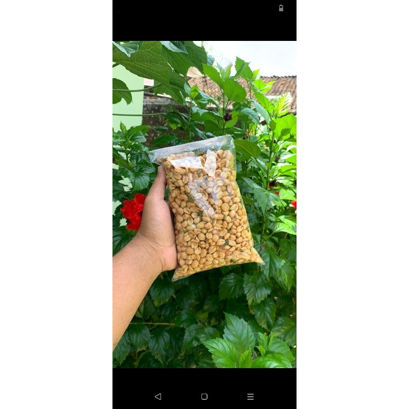 

kacang bawang 500g-1kg