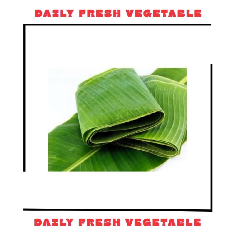 

Daun Pisang Fresh 1 Ikat