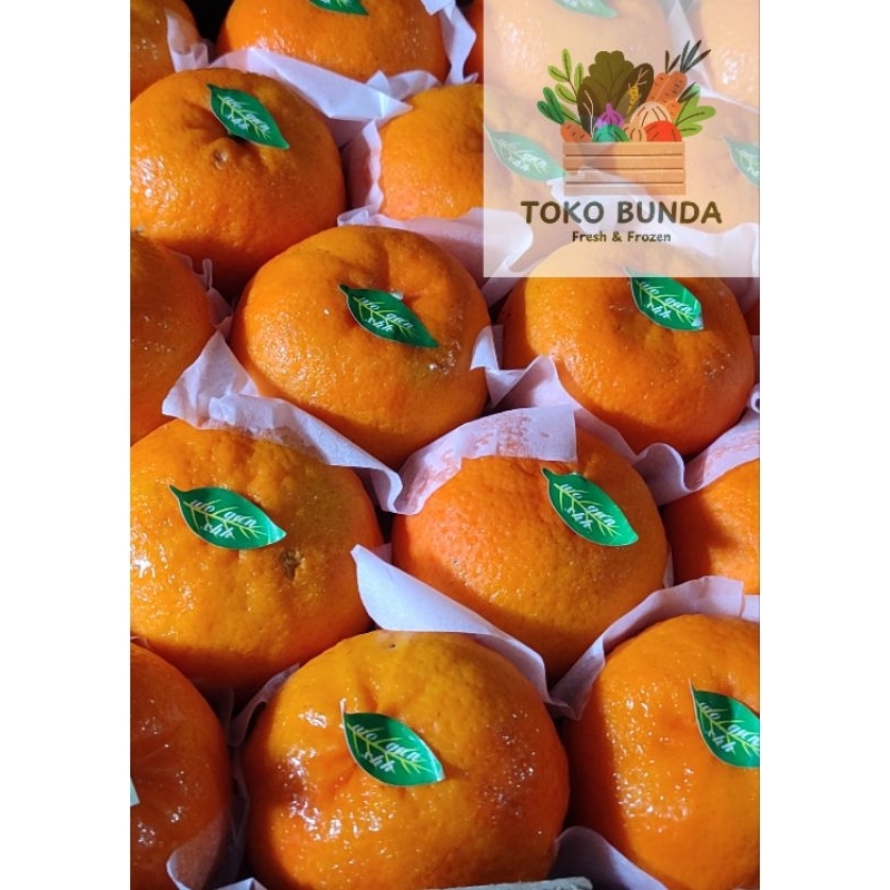 

Jeruk Wogan Wokam Murcot Kino Ponkam Import