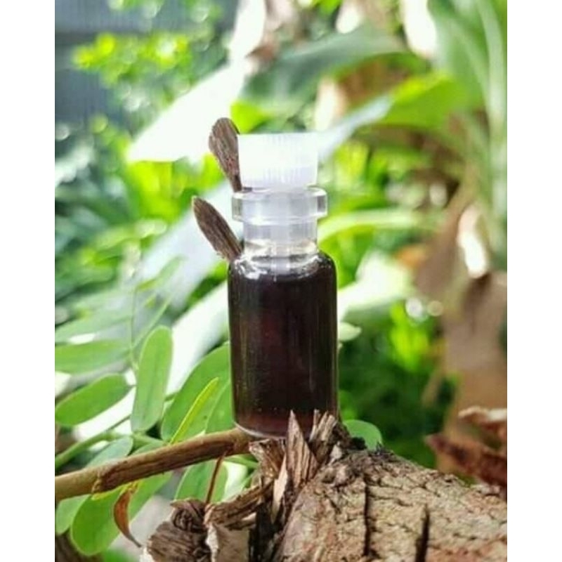 

MINYAK BOSSTER TINGKAT 17