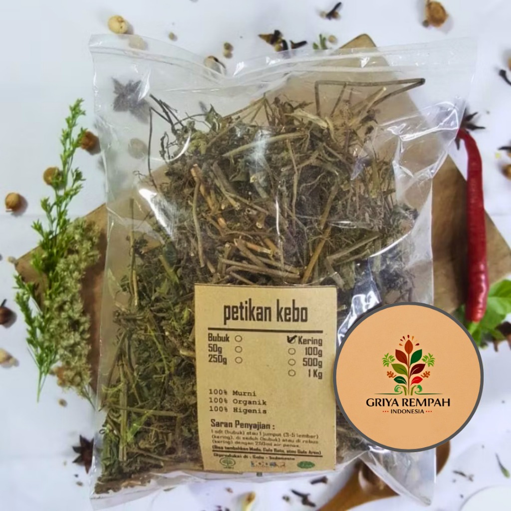 

PATIKAN KEBO KERING 1 KG Petikan Kerbau Rempah Herbal Simplisia Alami Obat Diare Wasir Radang Kulit Euphorbia hirta Tanaman Obat Tradisional Ramuan Kering Jamu