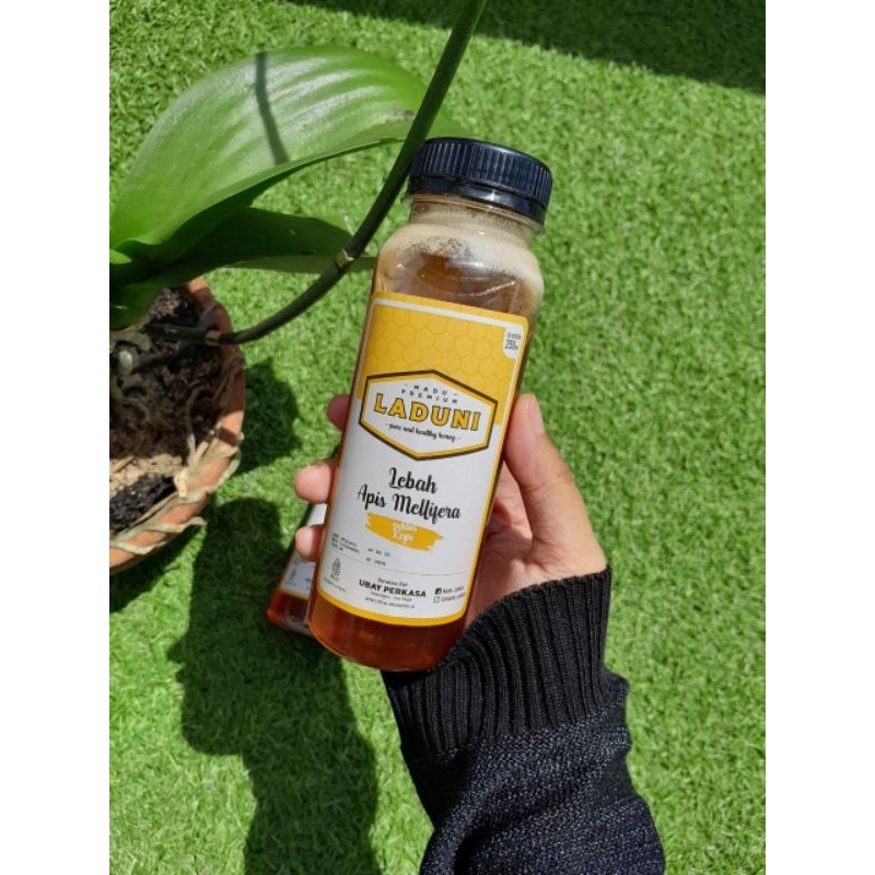

Madu Laduni Mellifera Kopi