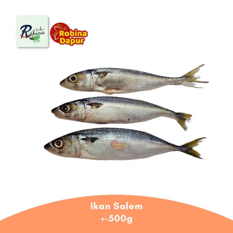 

Bandung Ikan Salem 500 gr