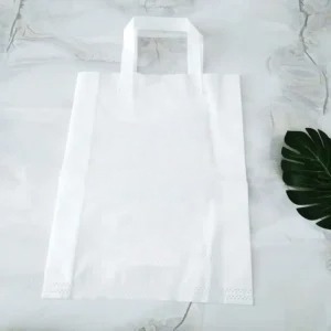 

TAS SPUNBOND PRESS/GOODIE BAG SERBAGUNA TAS KANTONG BELANJA CUSTOM 75GSM-TS 01 PR