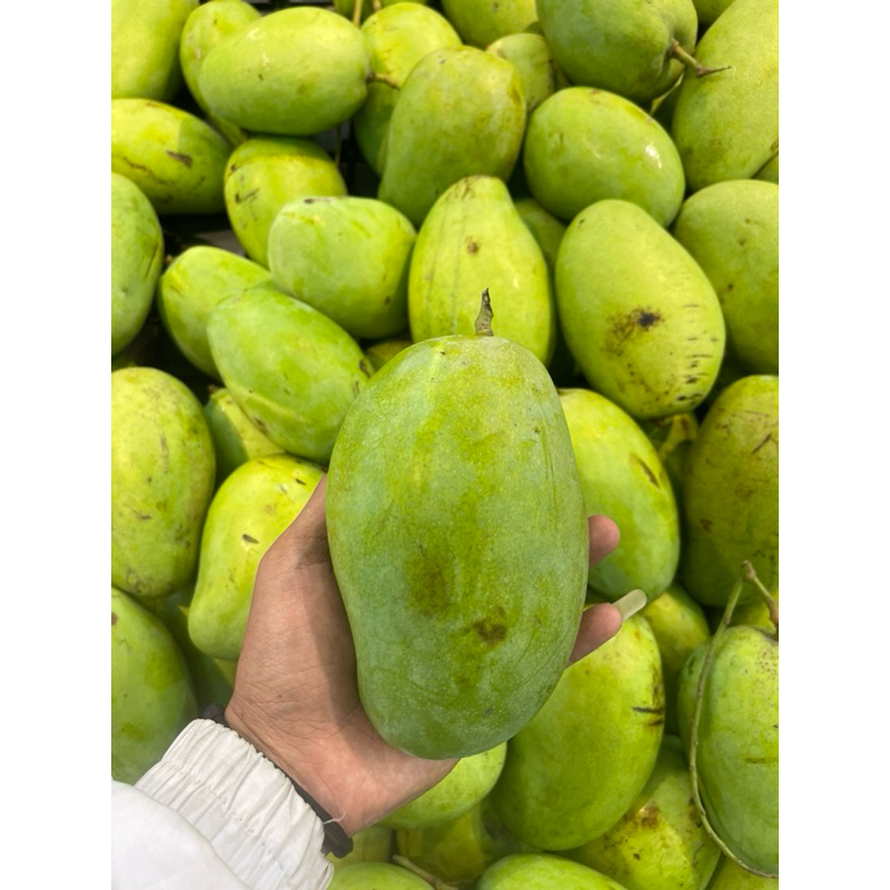 

mangga budi raja fresh 1kg