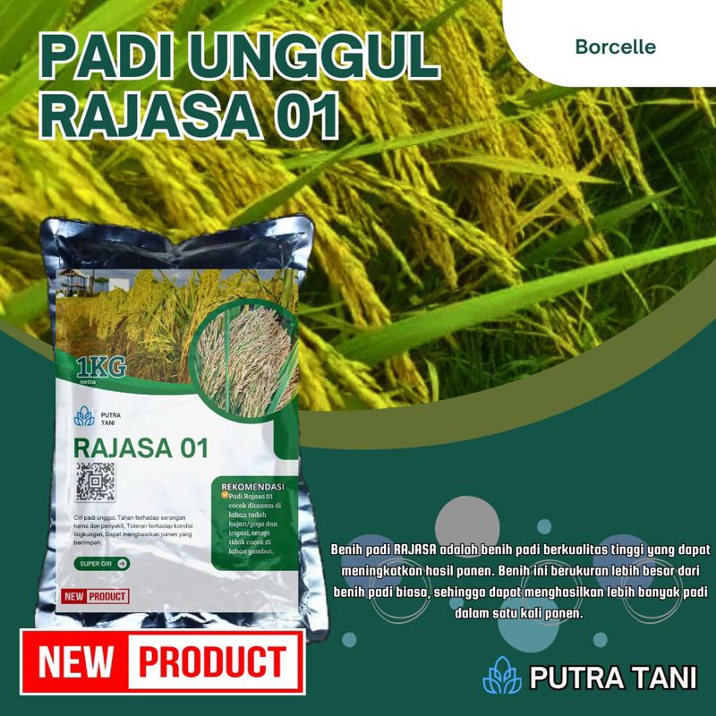 PADI UNGGUL RAJASA 01 1KG