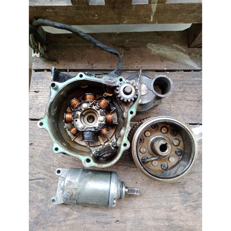 Dobel stater tiger revo tiger lama