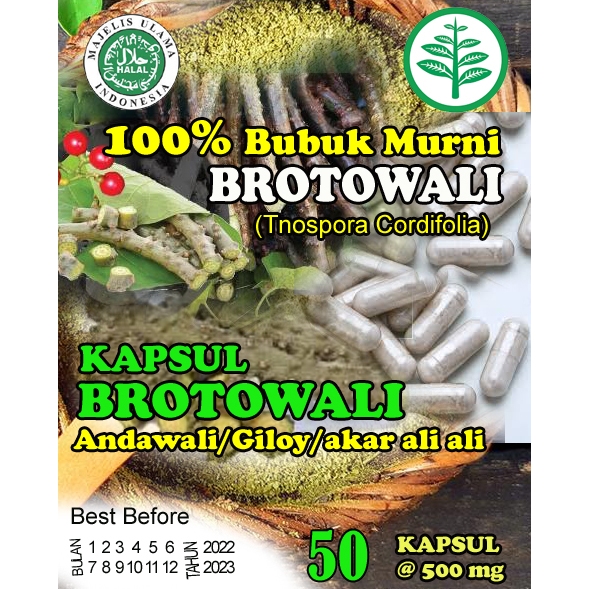 Kapsul Brotowali obat gatal kulit eksim alergi biduran herbal