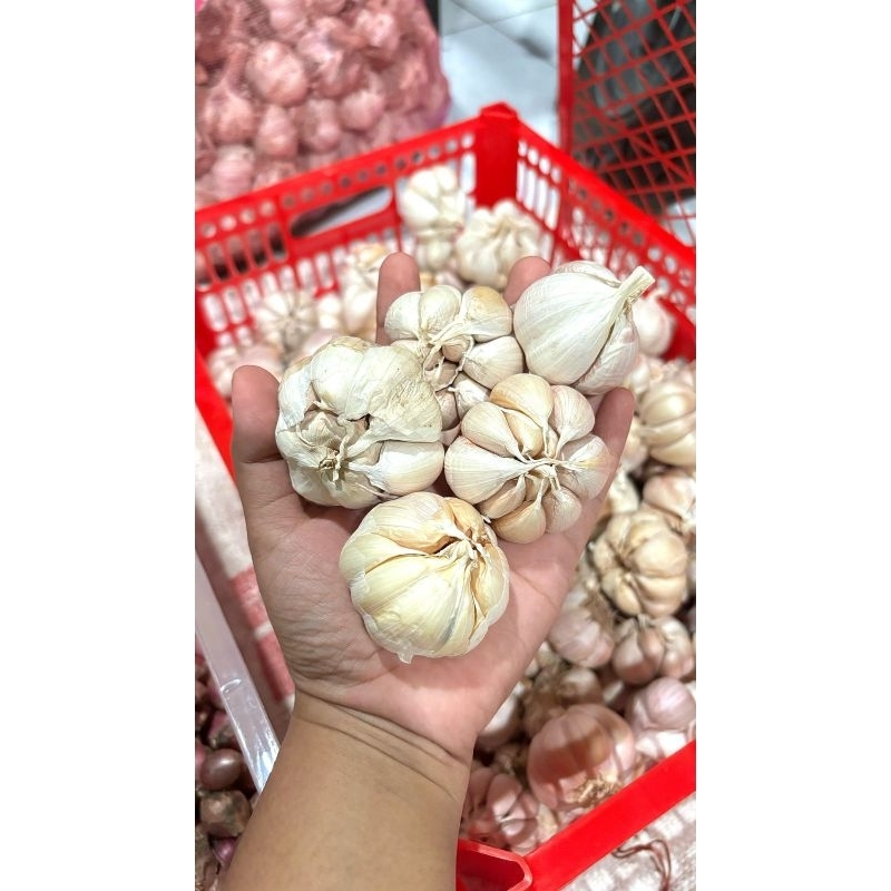 

Bawang Putih || Bumbu Dapur || ready banyak