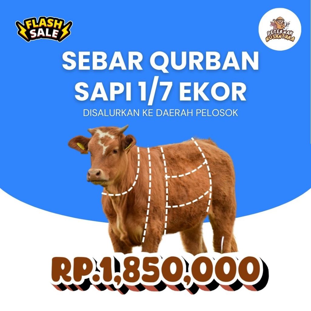 

SEBAR QURBAN 1/7 EKOR SAPI 2025