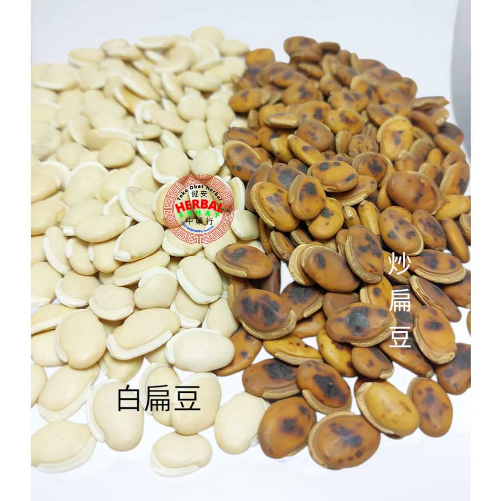 

Bai Biandou / Chao Bian Dou Ren 炒扁豆仁 Processed Semen Lablab Album Fried White Hyacinth Beans
