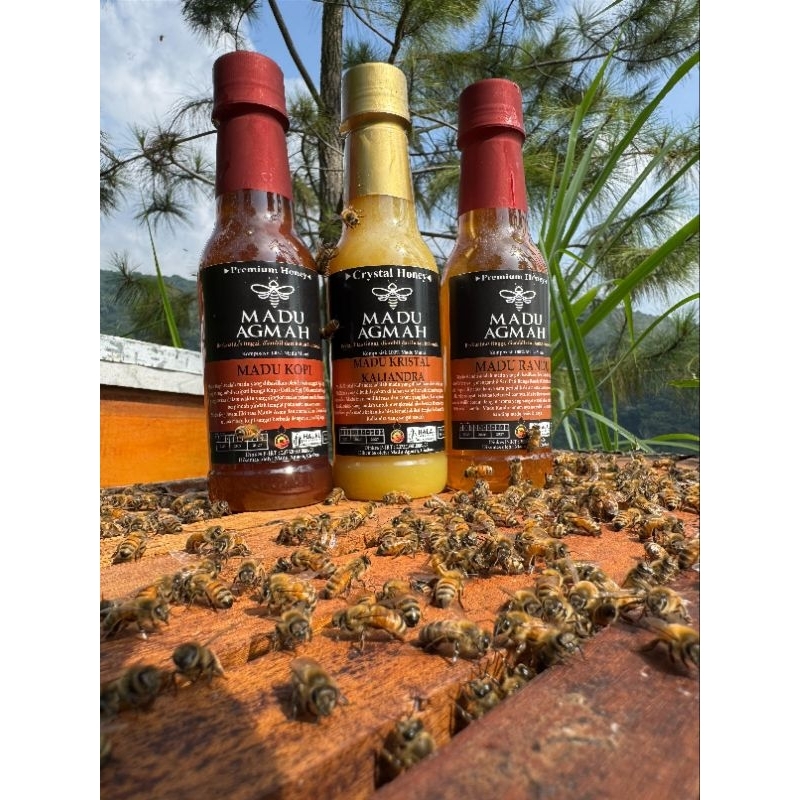 

Madu Randu Kapuk (Ceiba Pentandra) ( ASLI & MURNI )