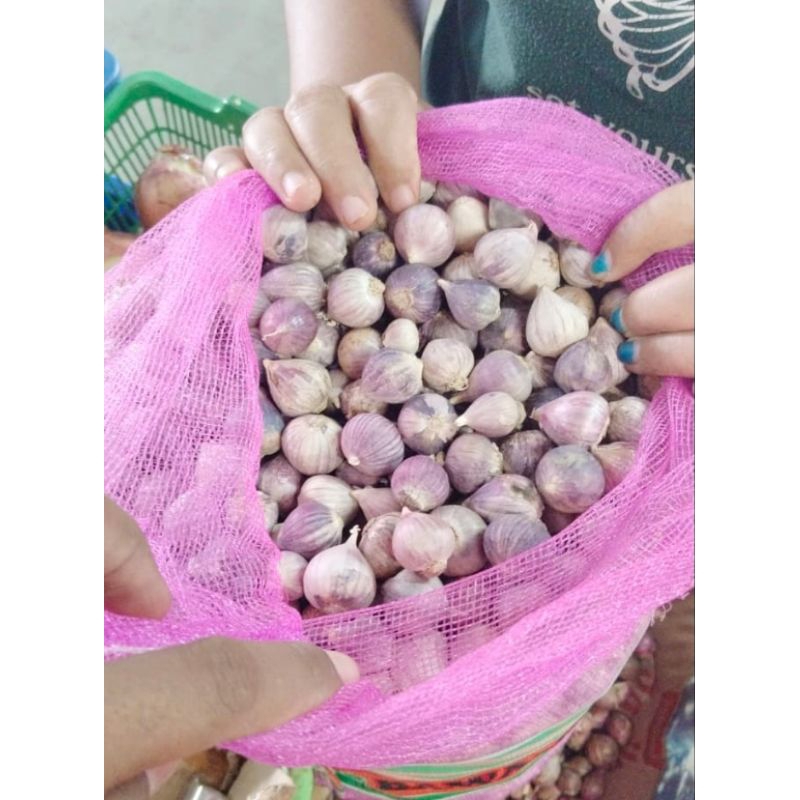 

Bawang putih tunggal / Bawang laki / Bawang tunggal