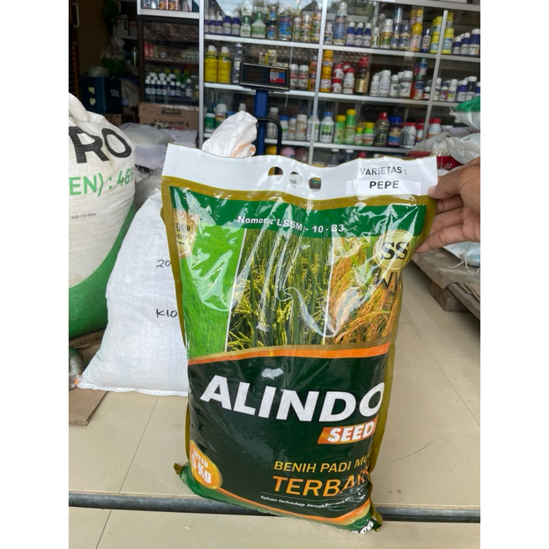 Benih padi unggul PEPE / SRI PUTIH ALINDO 5KG