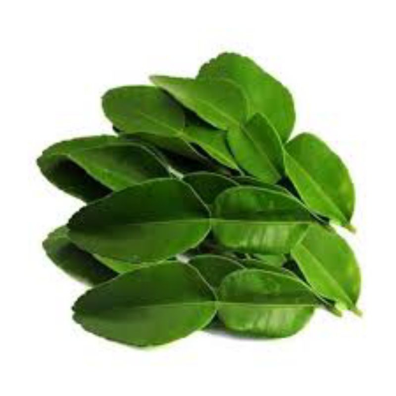 

Daun Jeruk Fresh 25g