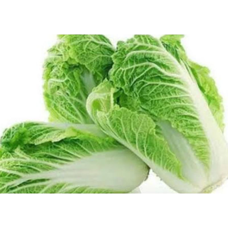 

sawi putih besar segar fress 1kg