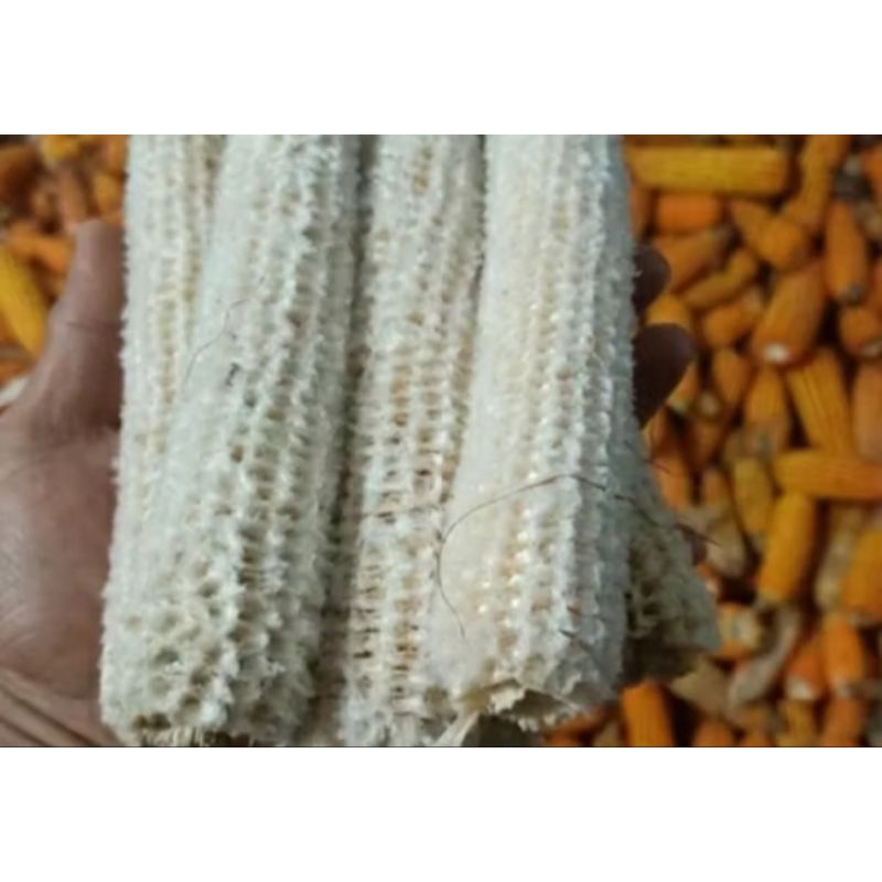 

janggel jagung kering 30 biji