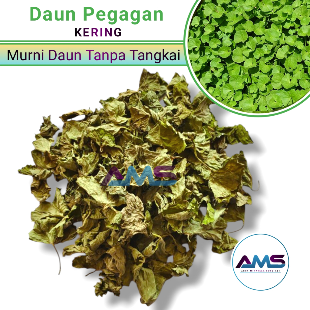 

Daun Pegagan Kering Asli (150 Gram MURNI DAUN) Teh Daun Pegagan Antanan Herbal