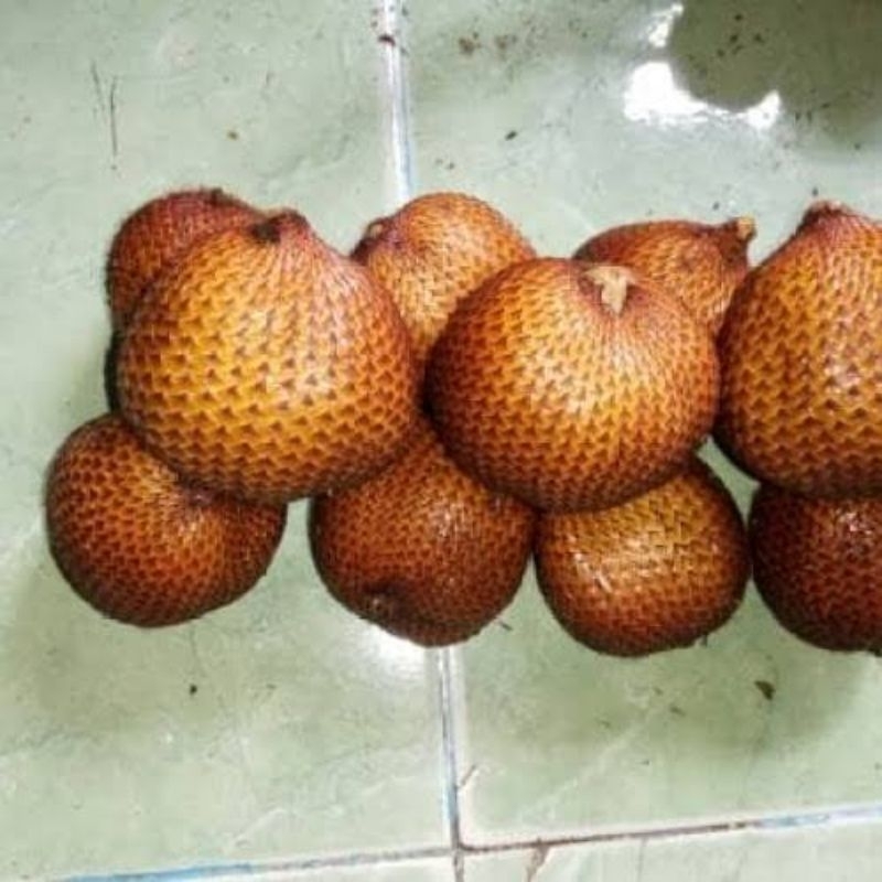 

SALAK BALI ASLI KARANGASEM