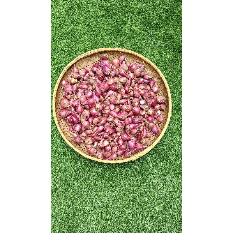 

bawang merah
