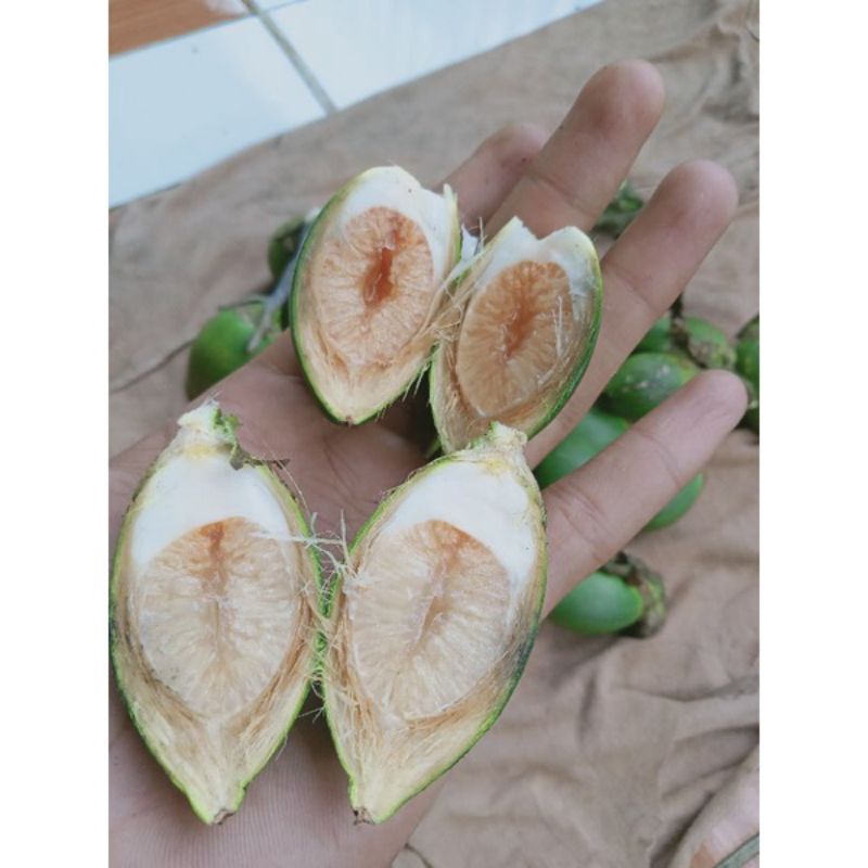 

Piang / jame muda per 1 buah