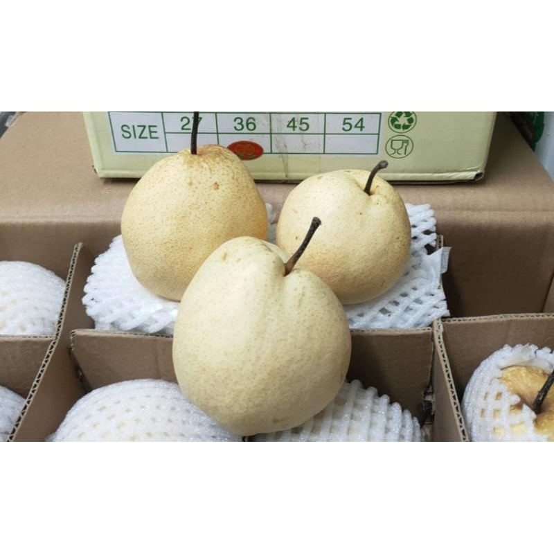 

Pear Sweet/Pir Madu Perkilo