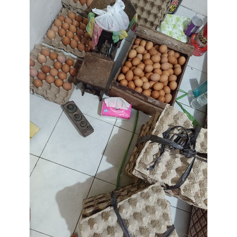 

Telur Ayam Negri