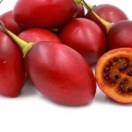 

Terong Belanda Super Menyegarkan Cocok untuk di Jus Merah Manis