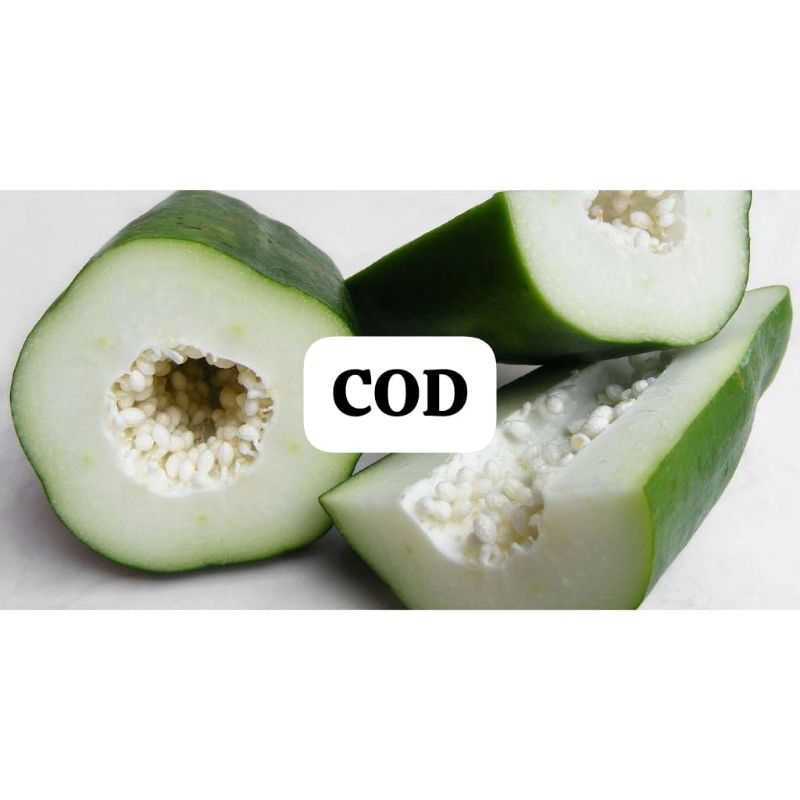 

Buah pepaya muda 1kg