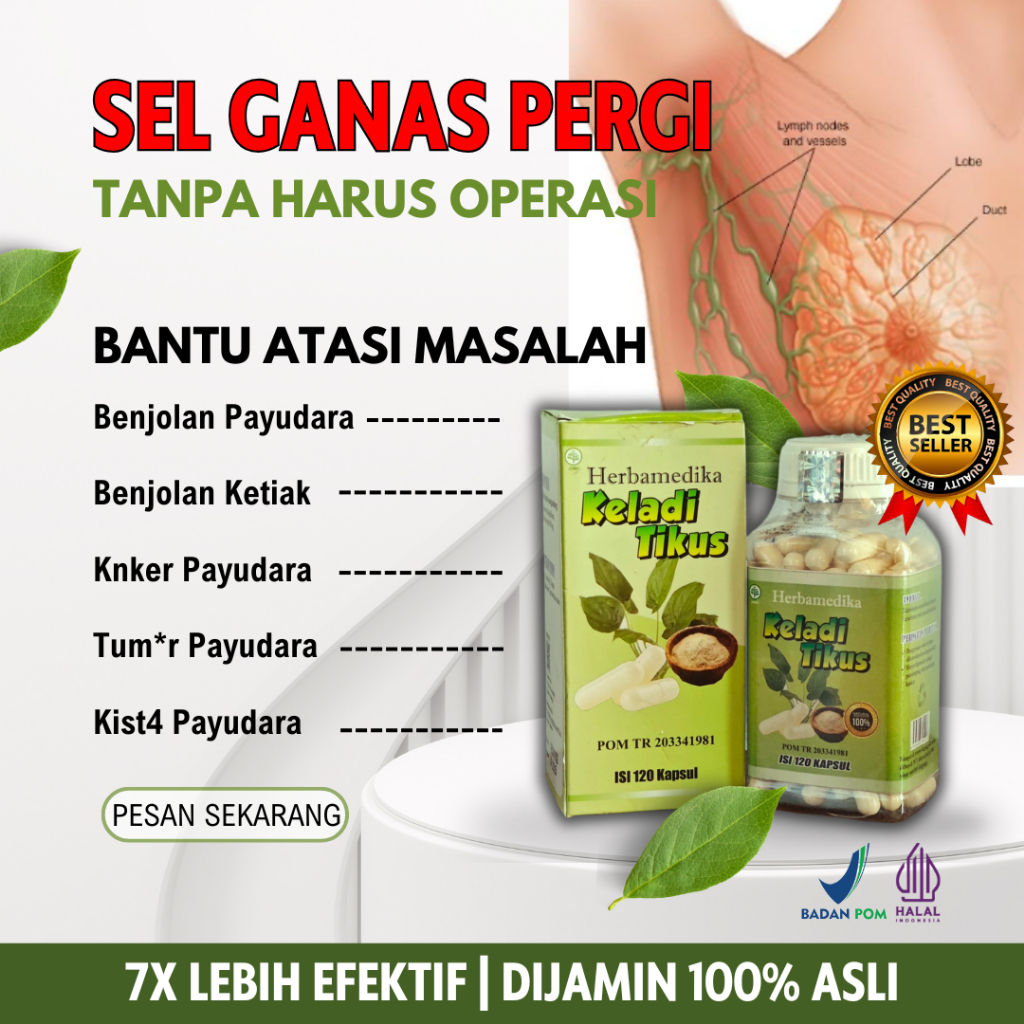 Keladi Tikus Asli Herbamedika | Obat Kanker - Tumor Payudara - Benjolan Payudara | 120 Kapsul | BPOM