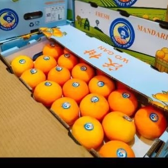 

JERUK HOGAN MANDARIN HONESTMAN 1KG