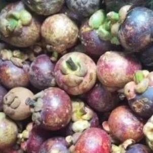 

Buah Manggis...TERMURAH..per 1 kg