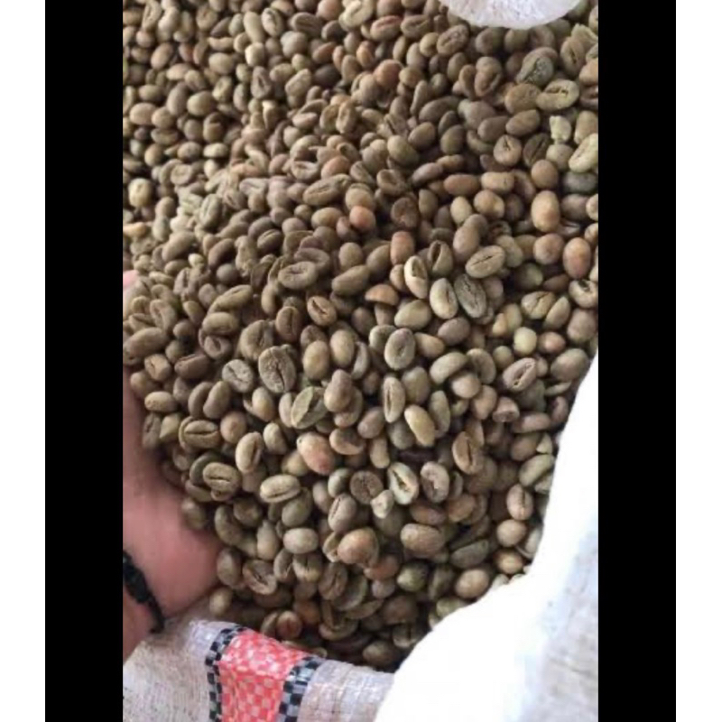 

kopi robusta