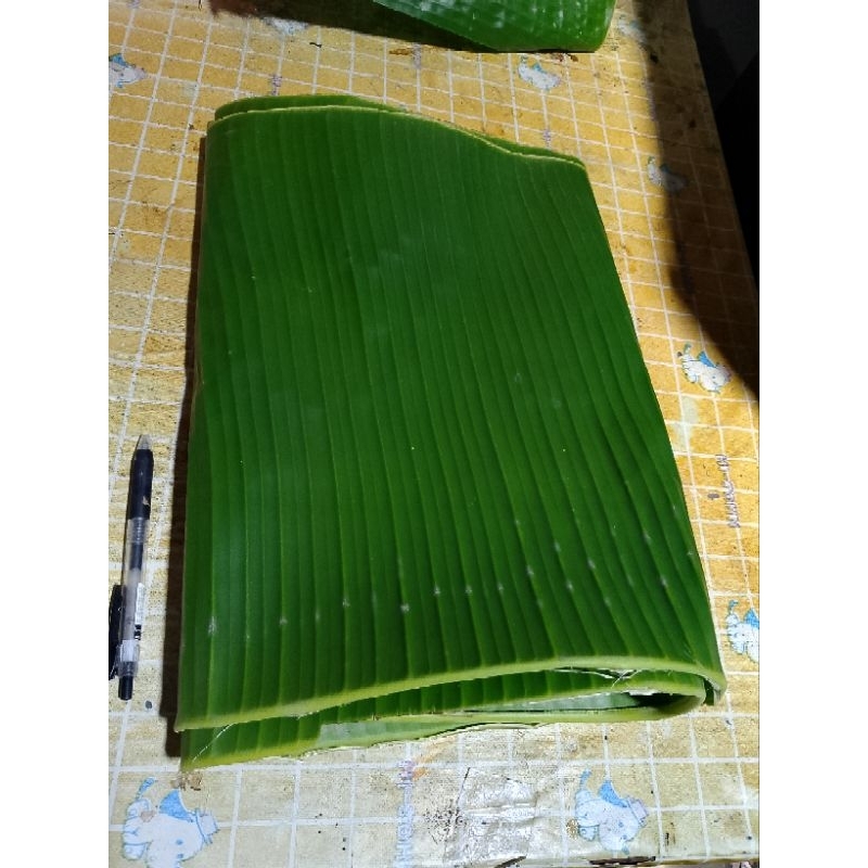 

Daun pisang kepok