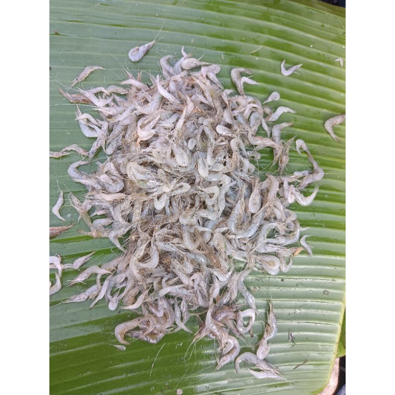 

-+150 gram Baby Udang Vename Udang Halus Udang Kecil