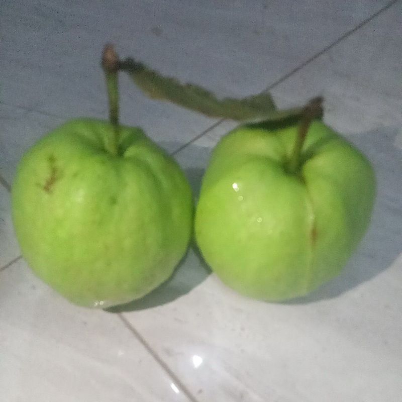 

jambu kristal 500gr