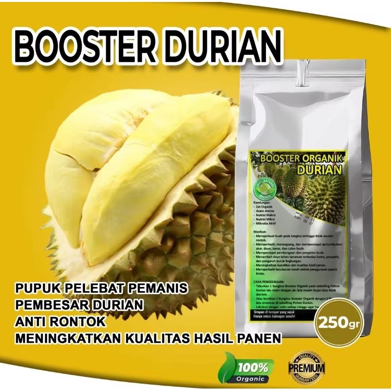 pupuk boster durian
