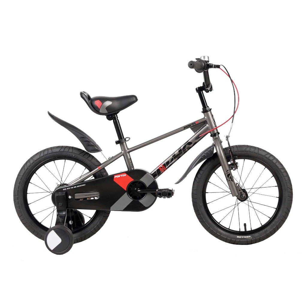 Sepeda Anak Kids Bike Element Fortix