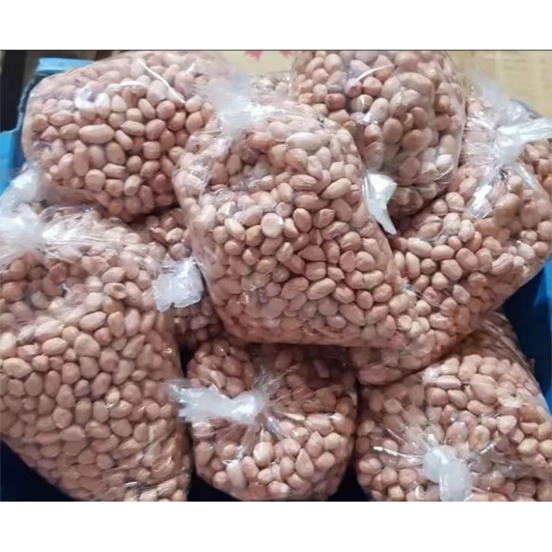 

kacang tanah
