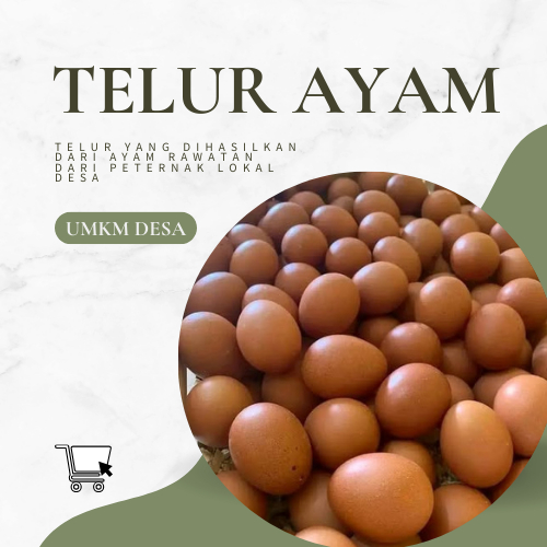 

Murah!!! Telur Ayam dari Peternak Lokal Desa