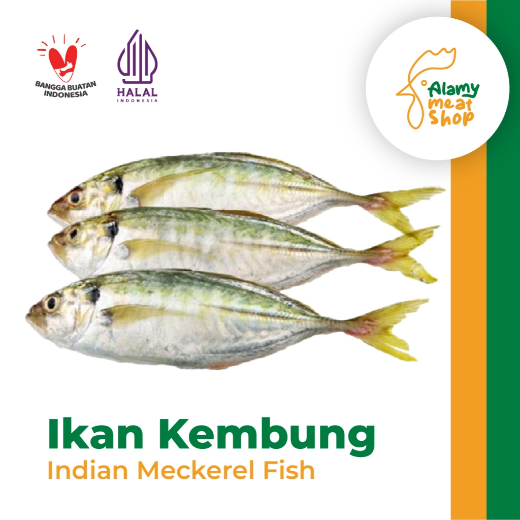 

Ikan Kembung Banjar Frozen, Indian Meckerel Fish 1 kg